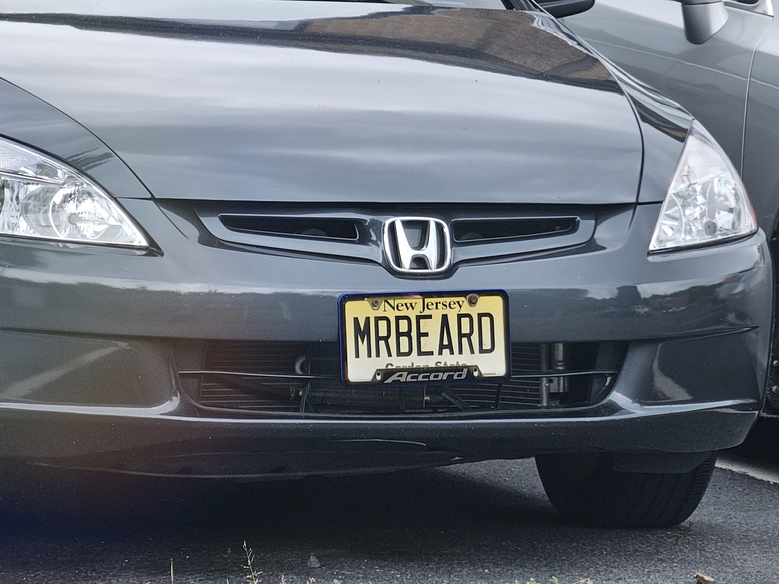 MRBEARD