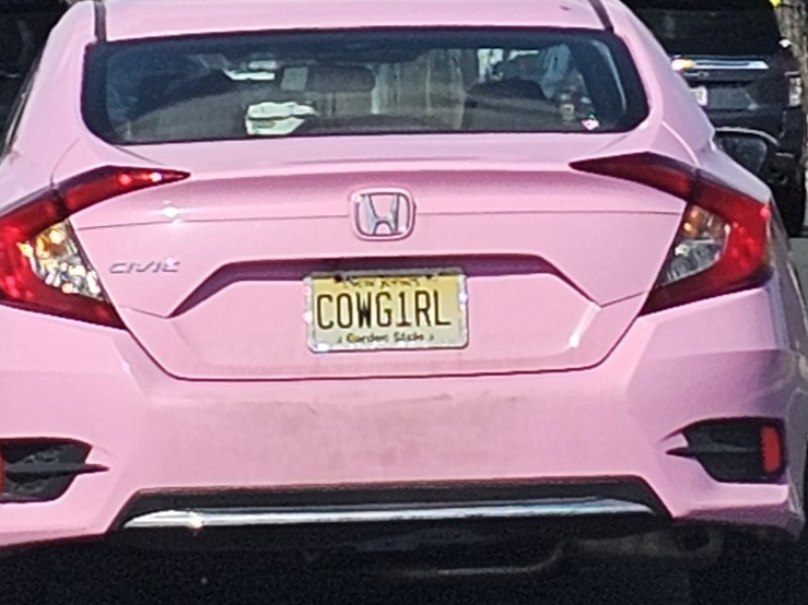 COWG1RL vanity plate