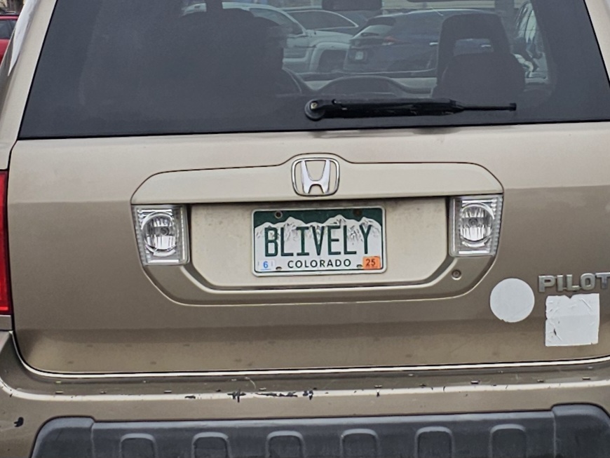 BLIVELY