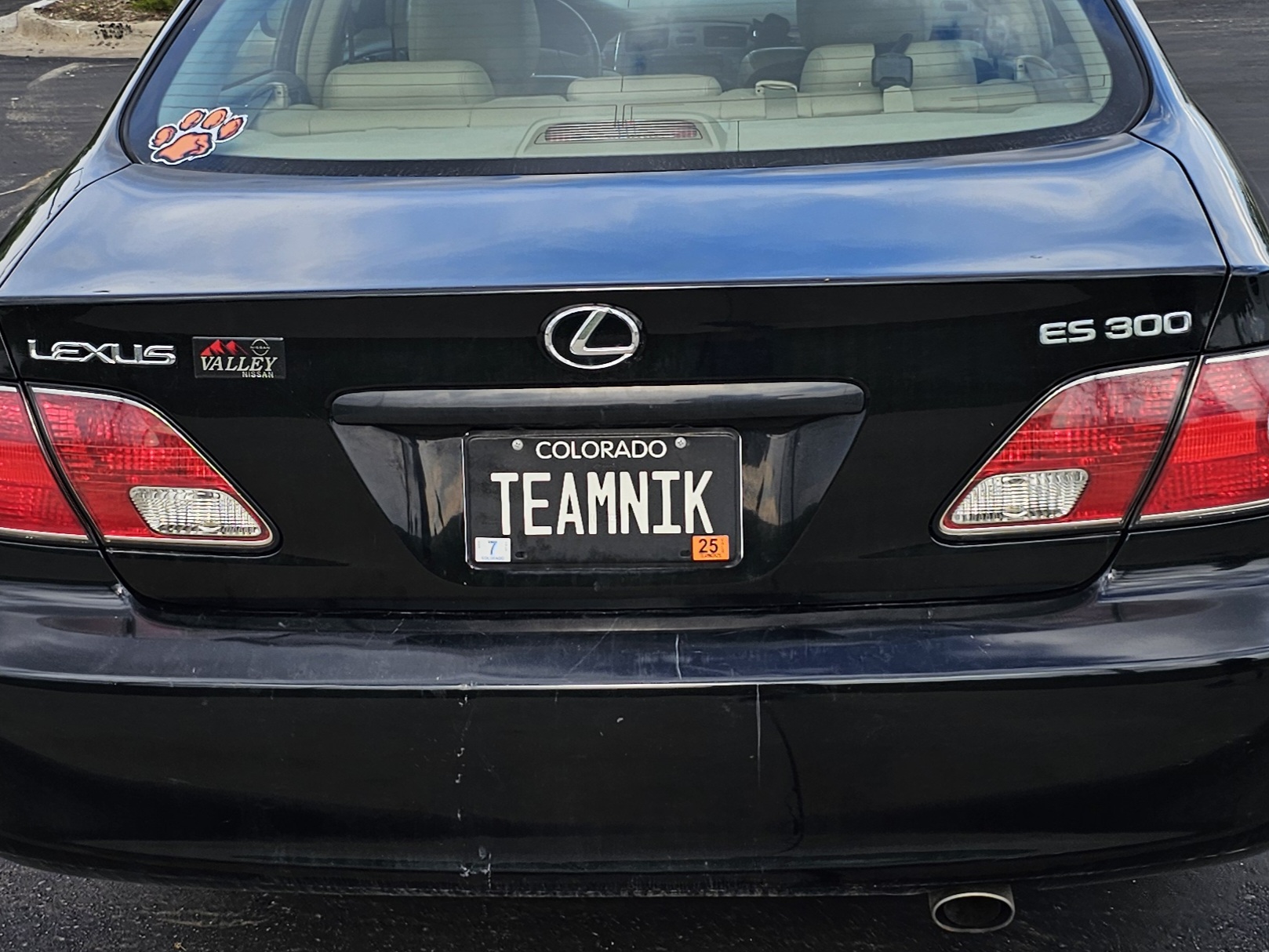 teamnik